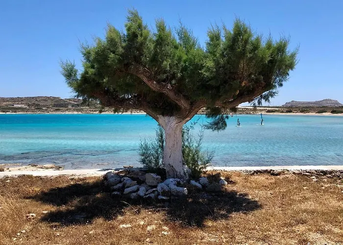 别墅 Vento Retreat 奇波斯阿费提